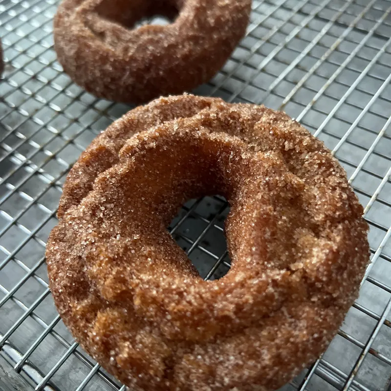 Buttermilk cider cake donut dusted in cinnamon sugar